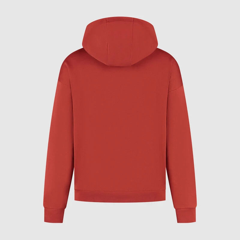 F1 Collection Heritage Graphic Hoodie