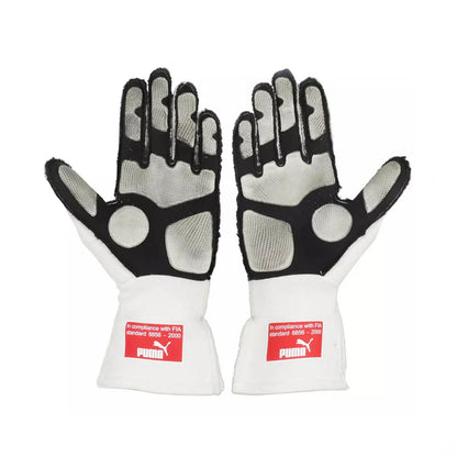 Fernando Alonso 2010 Japanese GP F1 Racing Gloves
