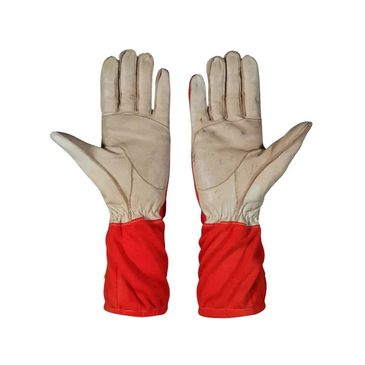 Helio Castroneves 2017 IndyCar Racing Gloves