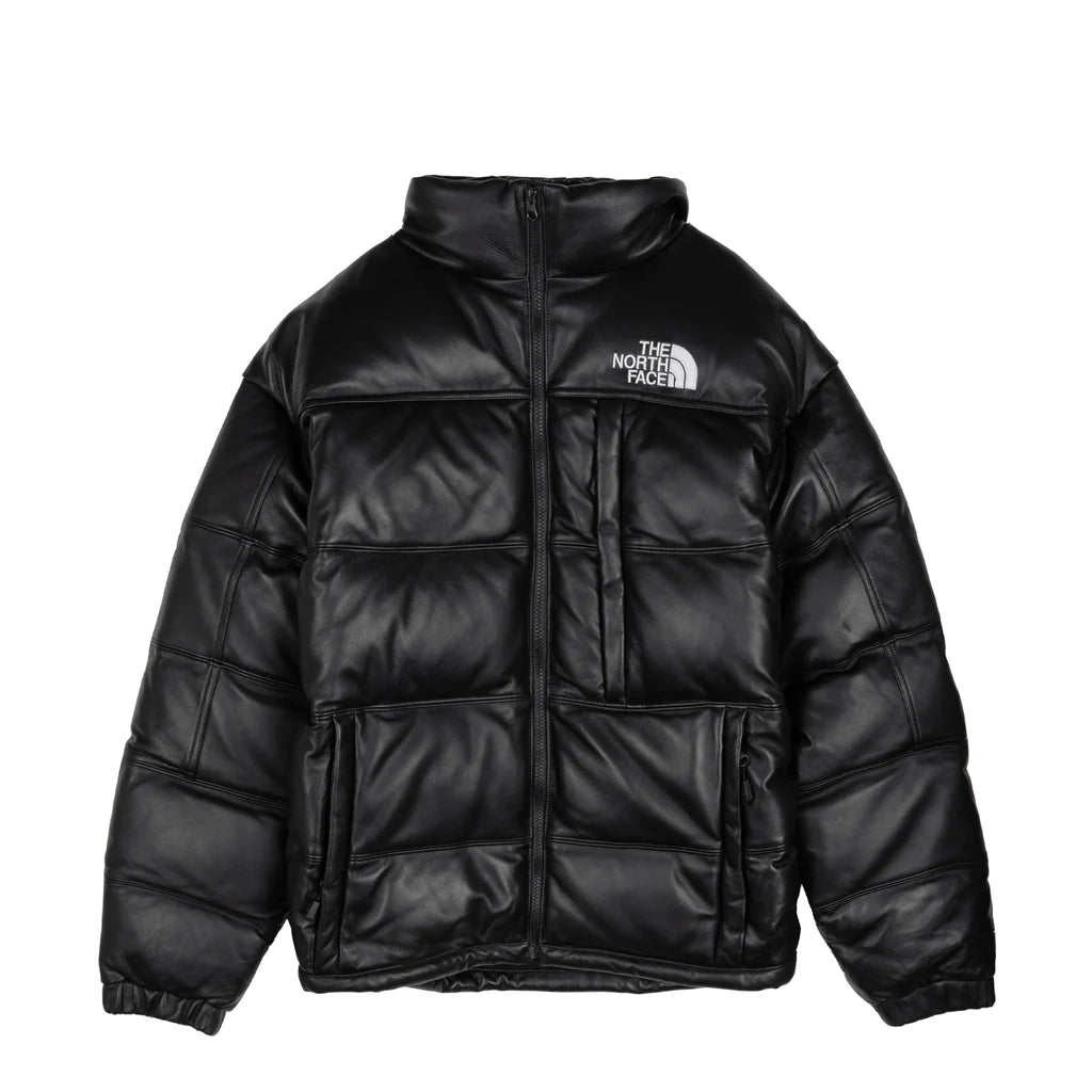 The North Face leather pack summit jacket
