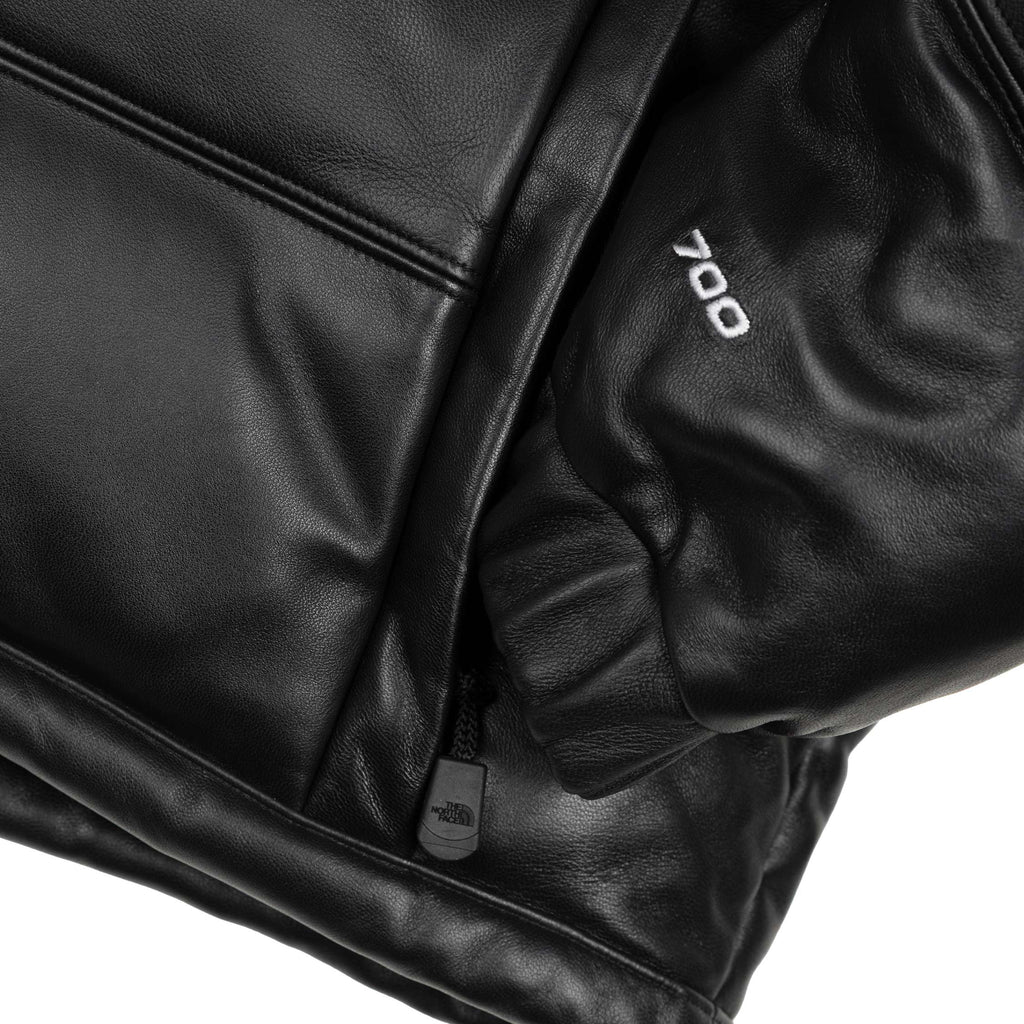 The North Face leather pack summit jacket